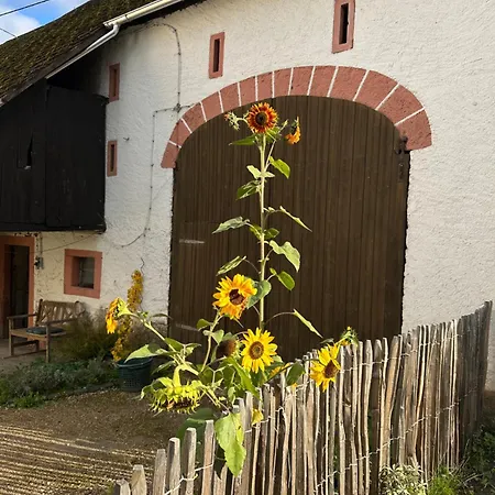 400 Jahre Altes Kutscherhaus Neben Der Burg *
