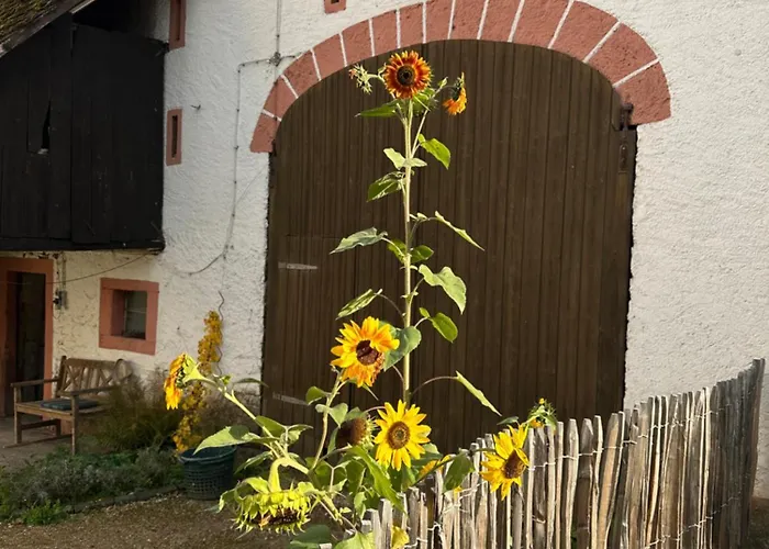 Kutscherhaus Der Burg *